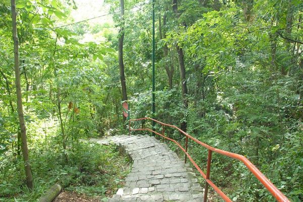Gruta da Onça