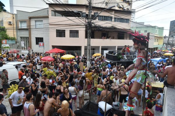 Bloco Amigos da Onça animou as ruas do Centro de Vitória