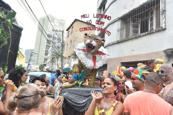 Bloco Amigos da Onça animou as ruas do Centro de Vitória