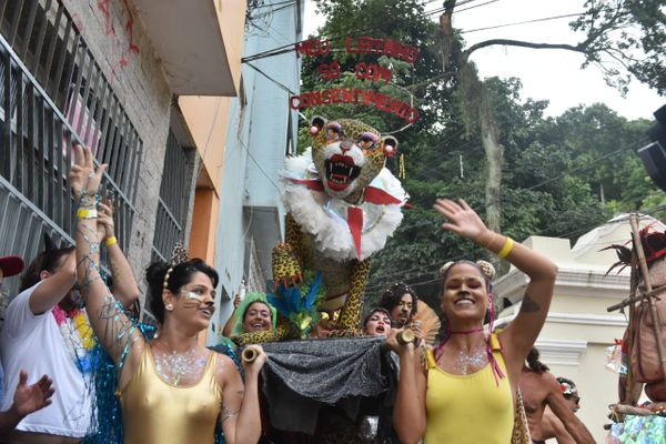 Bloco Amigos da Onça animou as ruas do Centro de Vitória
