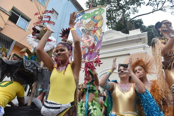 Bloco Amigos da Onça animou as ruas do Centro de Vitória