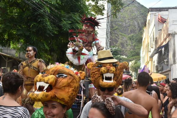Bloco Amigos da Onça animou as ruas do Centro de Vitória