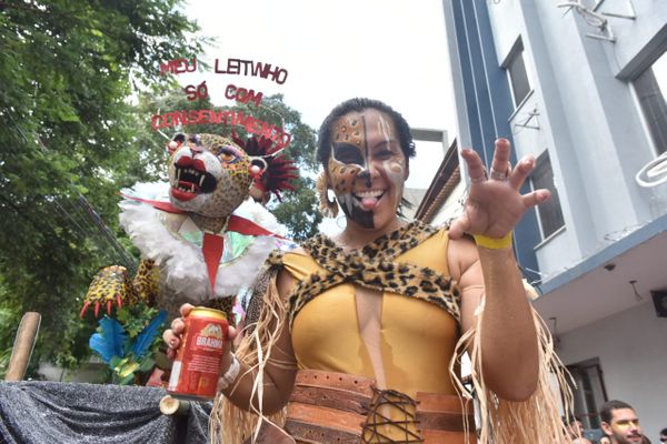 Bloco Amigos da Onça animou as ruas do Centro de Vitória