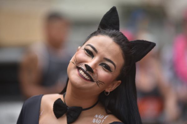 Entre as fantasias favoritas do Bloco Amigos da Onça está a de gata. Lembrando: