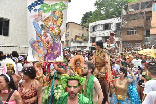 Estandade do Bloco Amigos da Onça animou as ruas do Centro de Vitória