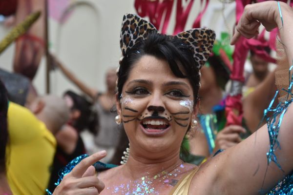 Fantasia de onça