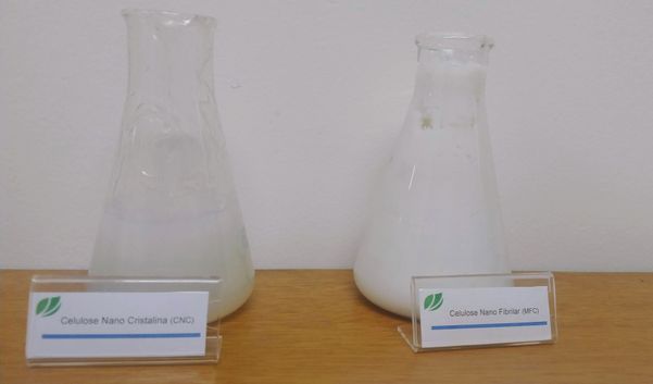 Nanocelulose fabricada em Aracruz. Textura do material lembra um papel umedecido. É gelado, não gruda na mão e também não é tóxico. Crédito: Siumara Gonçalves