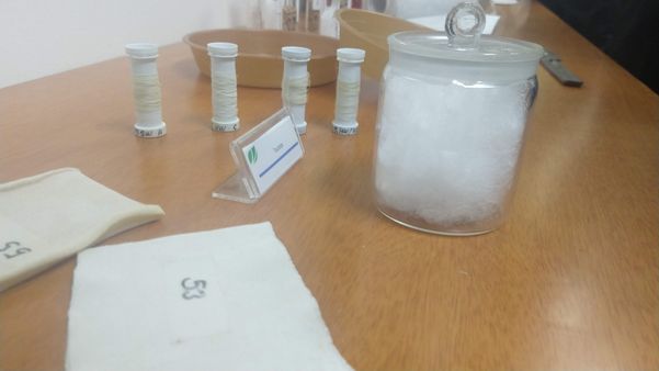 Fios de tecido produzidos a partir da nanocelulose fabricada em Aracruz. Crédito: Siumara Gonçalves
