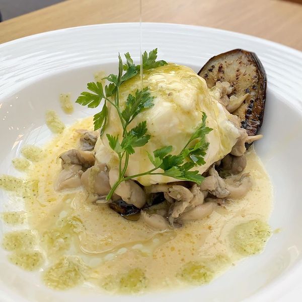 Burrata do Figata. Crédito: Elo Comunicação/Divulgação