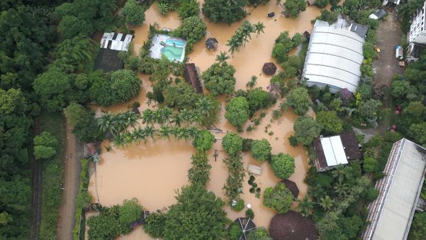 Zoológico de Marechal Floriano ficou completamente alagado após fortes chuvas por Divulgação / Zoo Park