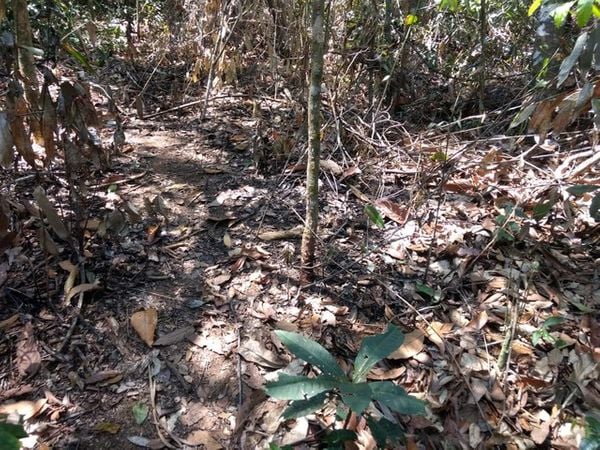 Ossada foi encontrada enterrada em uma área de difícil acesso entre Miracema e a cidade de Palma, em Minas Gerais. Crédito: Divulgação | Polícia Civil