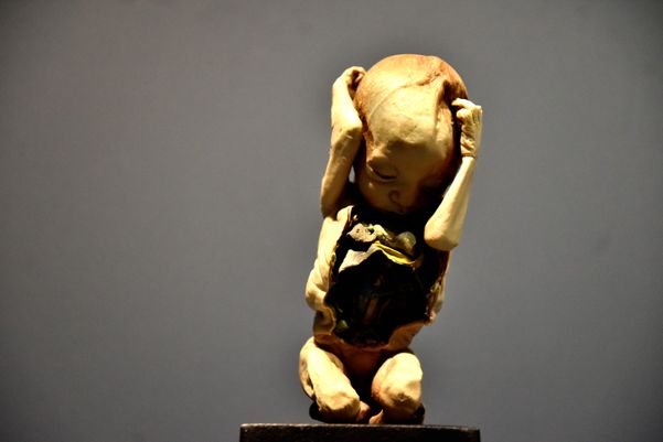 Museu de Ciências da Vida, da Ufes, apresenta corpo humano fatiado, após técnica de conservação chamada plastinação - Foto: Fernando Madeira - GZ por Fernando Madeira