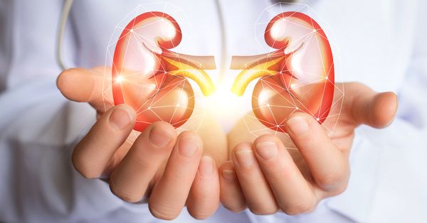 Insuficiência renal. Crédito: Divulgação