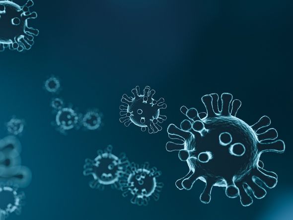 A doença provocada pela variação originada na China foi nomeada
oficialmente pela Organização Mundial de Saúde (OMS) como
COVID-19, em 11 de fevereiro. Ainda não está claro como ocorreu a
mutação que permitiu o surgimento do novo vírus. por mattthewafflecat | Pixabay