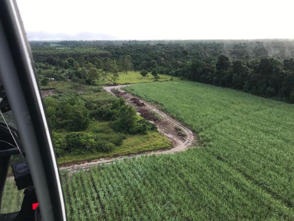 Operação contra roubo de madeira no Norte do ES. Crédito: Polícia Civil/Divulgação