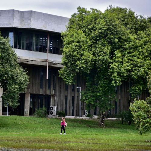 Conselho Universitário autoriza a adoção do ensino remoto na Ufes