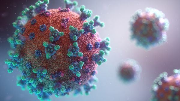 Coronavírus, que causa a doença Covid-19. Crédito: Fusion Medical Animation/Unsplash