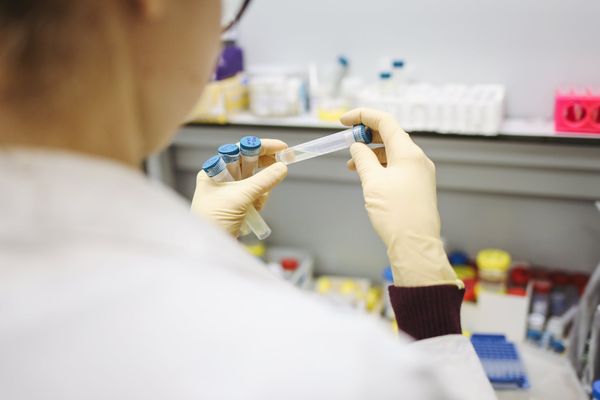 Cientistas estudam vacina contra o coronavírus