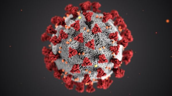 Coronavírus (covid-19). Crédito: CDC/ Unsplash
