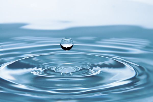 Dia Mundial da Água. Crédito: Pixabay