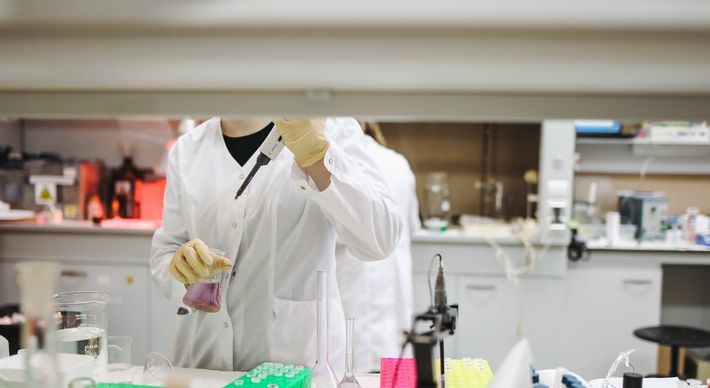 Pesquisadores de Pelotas, no Rio Grande do Sul, estudam o avanço da epidemia e planejam a contenção do vírus