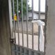 Imagem - Idosos colocam panos brancos em suas casas para serem  vacinados no Norte do ES
