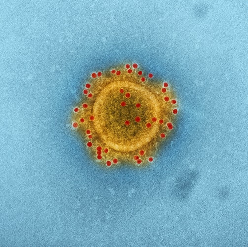 Imagem microscópica do coronavírus