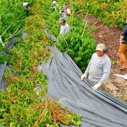 Estado teve saldo positivo de 8.553 novos empregos, um aumento de mais de 360% em comparação a março.