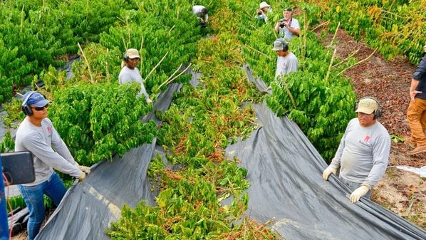 Estado teve saldo positivo de 8.553 novos empregos, um aumento de mais de 360% em comparação a março.