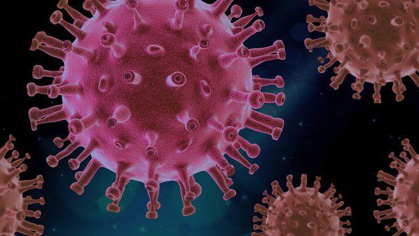 O médico infectologista Ofer Levy, do Boston Children's Hospital, afirmou que a resposta do organismo varia conforme a idade