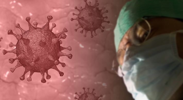 A terapia é baseada em anticorpos neutralizadores colhidos de pacientes que se recuperaram do novo coronavírus