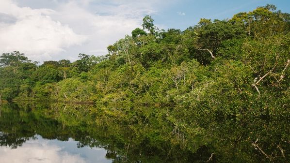 O Amazonas é hoje o terceiro maior produtor de gás no país, por meio das operações da Petrobras no polo Urucu, conectado a Manaus