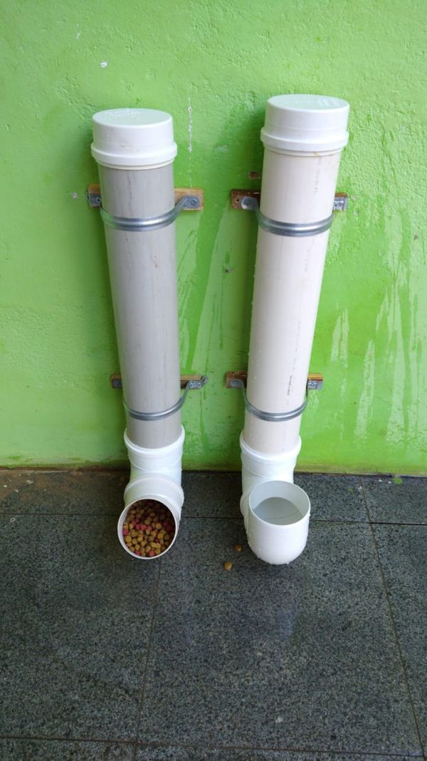 Voluntários alimentam cachorros de rua durante isolamento social no Sul do ES por ONG Pelo Amor