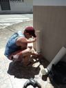 Voluntários alimentam cachorros de rua durante isolamento social no Sul do ES(ONG Pelo Amor)