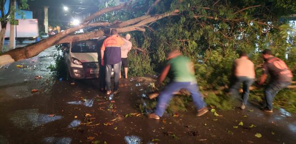 Árvore caiu sobre carro em Marataízes