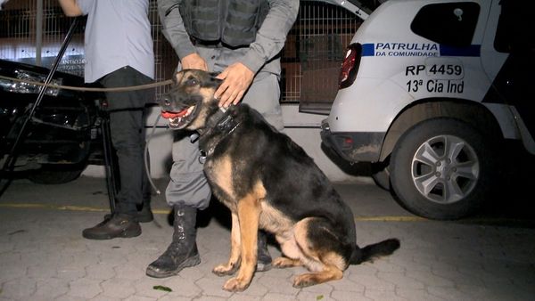 Cão da Polícia Militar, Jaffá, encontra droga dentro de casa de Vila Velha