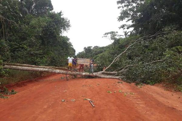 Coronavírus: Índios expulsaram garimpeiros e fizeram bloqueio em via de acesso ao Território Indígena do Xingu, em Mato Grosso