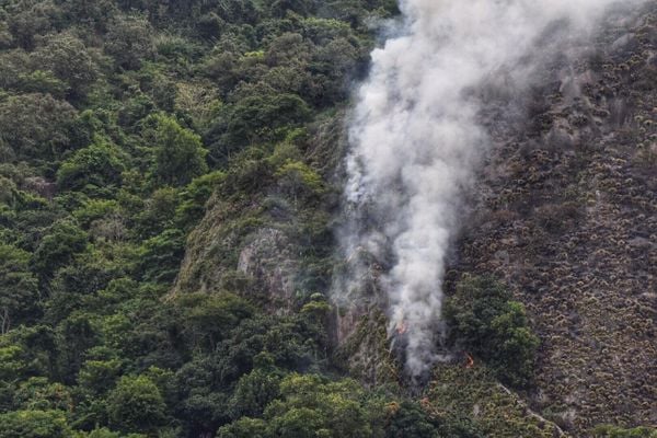 Incêndio em mata do Morro do Macaco assusta moradores de Vitória