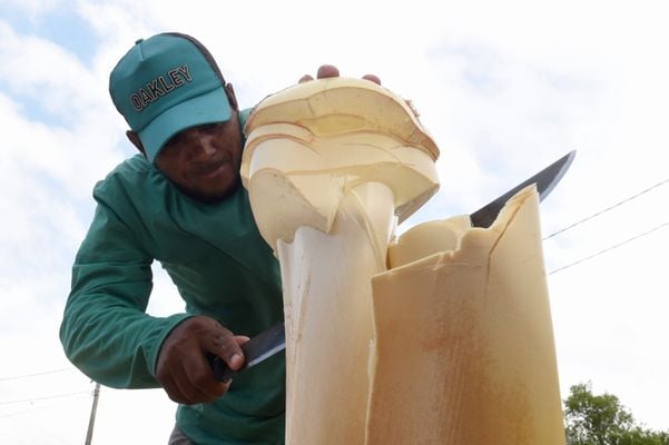 Comerciante já estão no Espírito Santo vendendo palmito.   por Carlos Alberto Silva