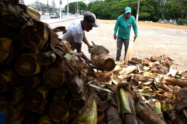 Geralmente os comerciantes são de outros estados. por Carlos Alberto Silva