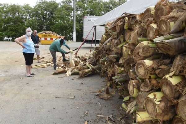 A cliente usou máscara para sair de casa e garantir o palmito para torta capixaba. por Carlos Alberto Silva