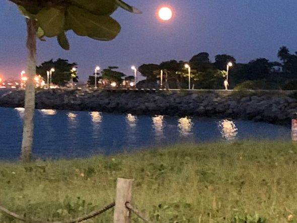 Superlua brilha no céu do ES e encanta capixabas por Fabiana Croce