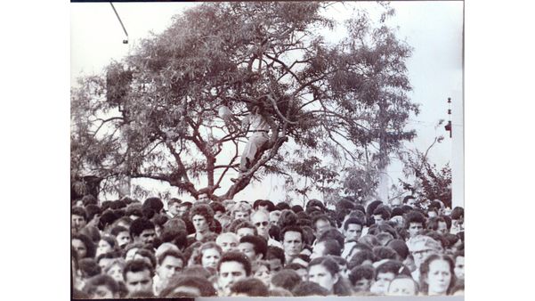 1983 - Romeiros subiam até em árvores para acompanhar a missa Campal durante a Festa da Penha - Foto Ailton Lopes por Ailton Lopes