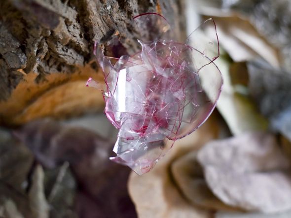 Obra fragmentos da fotógrafa Monica Zorzanelli por Monica Zorzanelli