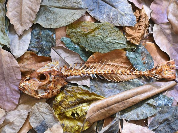 Obra fragmentos da fotógrafa Monica Zorzanelli por Monica Zorzanelli