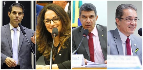 Deputados Amaro Neto (Republicanos), Norma Ayub (DEM), Sergio Vidigal (PDT) e Ted Conti (PSB) devem ser candidatos a prefeito