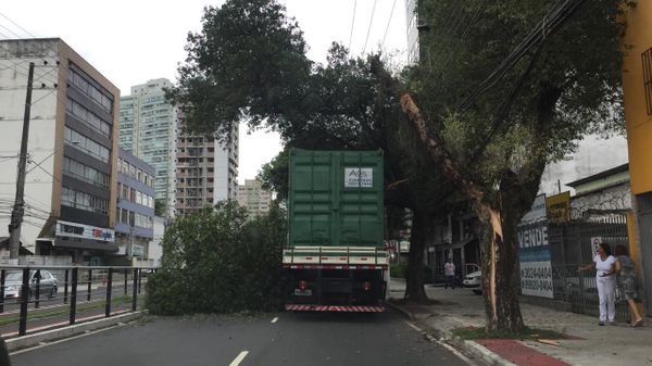 Queda de árvore deixou caminhão preso e interditou trânsito na Avenida Leitão da Silva