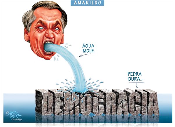 Confira a charge do Amarildo de 21/04/2020