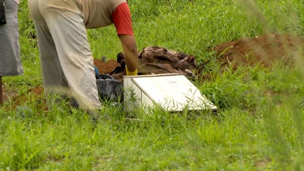 Cemitério Boa Vista, em Maruípe: 311 sepulturas serão liberadas