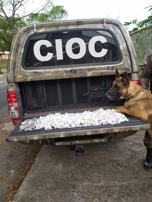 Operação Tiradentes 2020: itens apreendidos pela PM por PMES/Divulgação